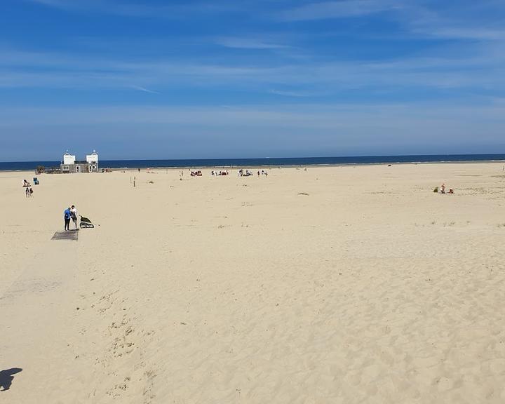 Strandpieper Norderney